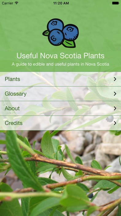 alt Useful Nova Scotia Plants